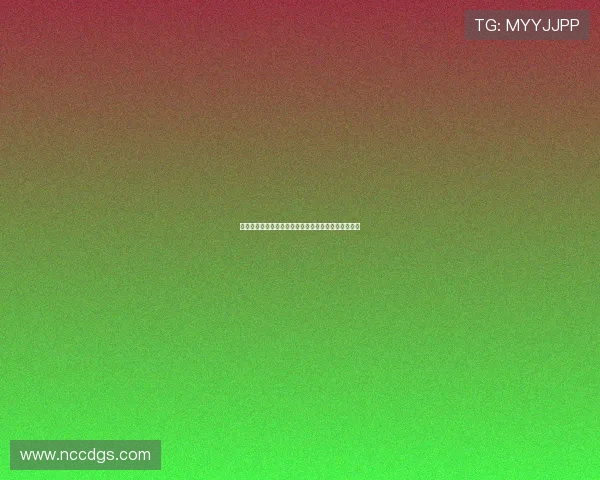 中超四轮战罢河北队山东队展现新面貌成黑马引人注目